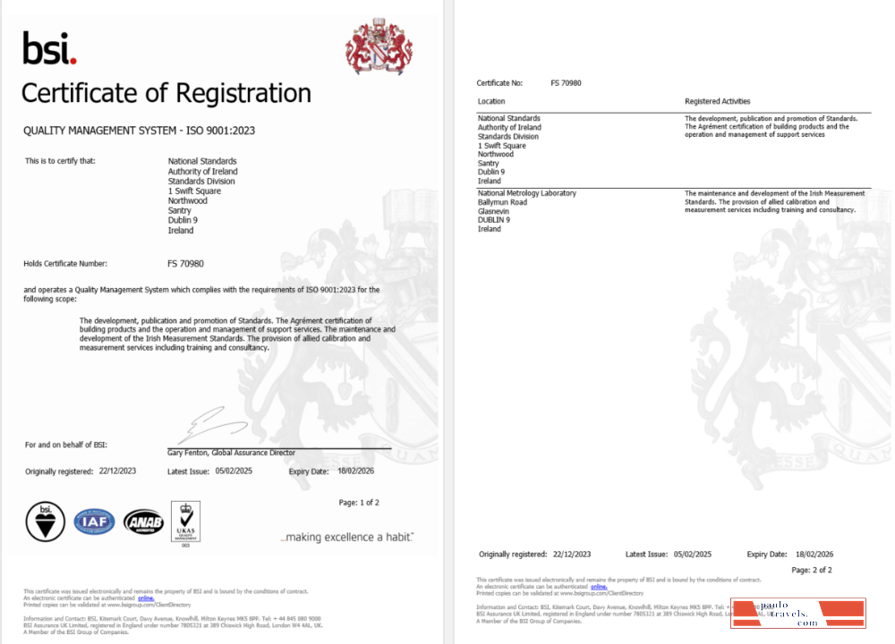 Ireland Dublin BSI certificate of registration Word and PDF template